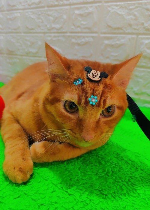 foto carrousel 2-min