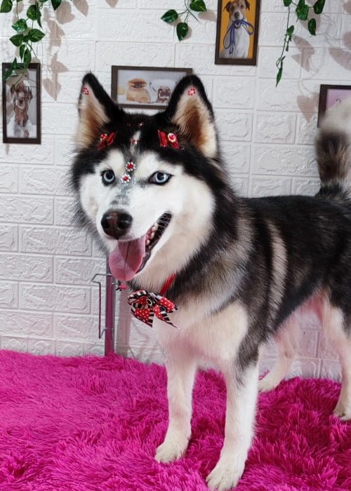 foto carrousel 6-min